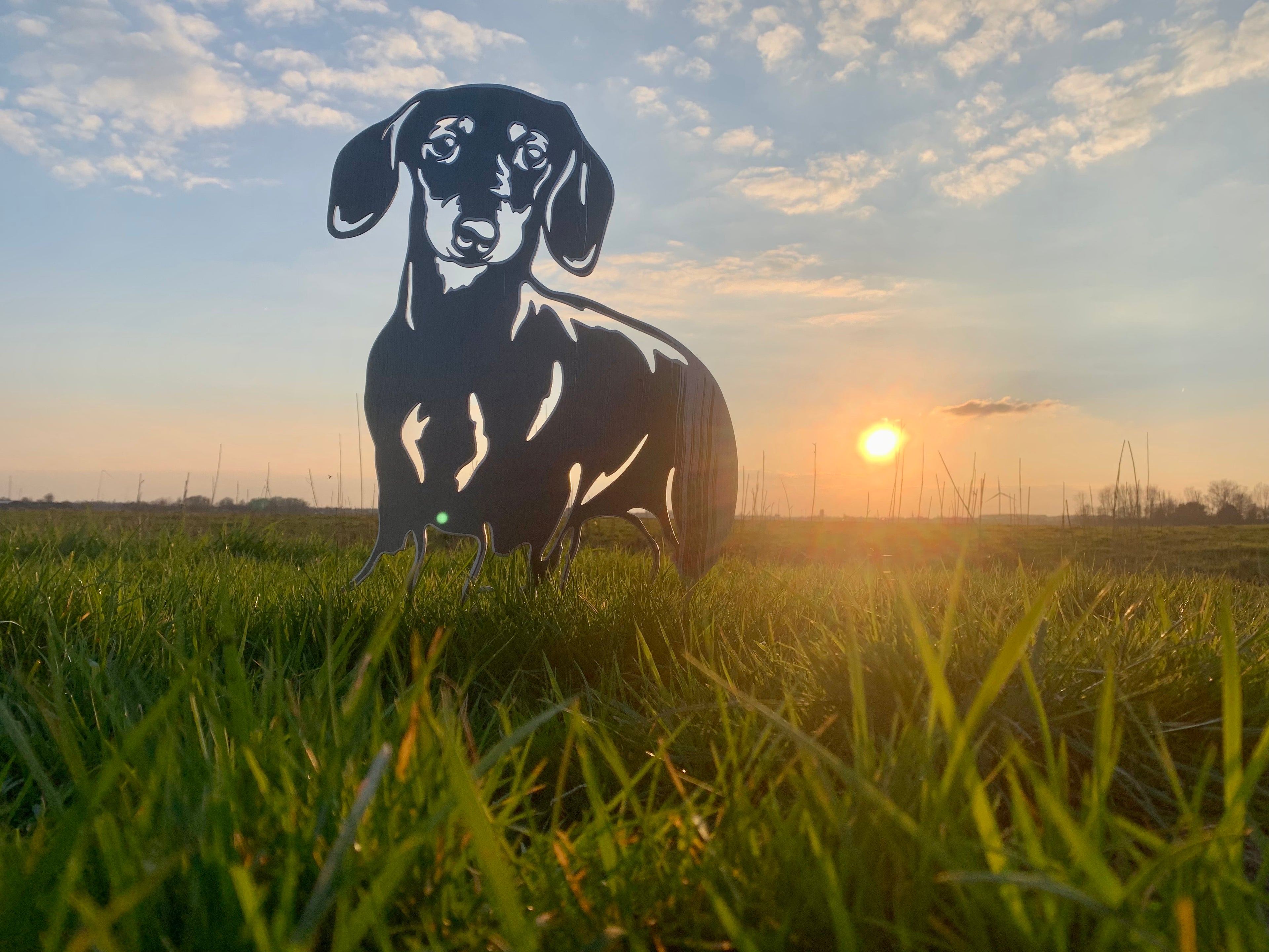 The Dachshund - Silhouette