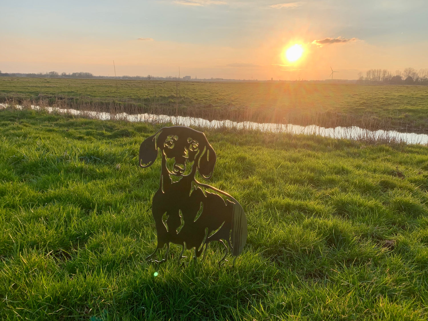 The Dachshund - Silhouette