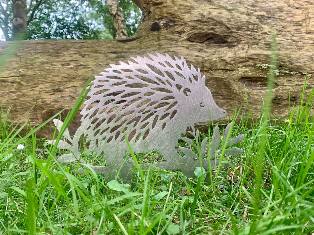 The hedgehog