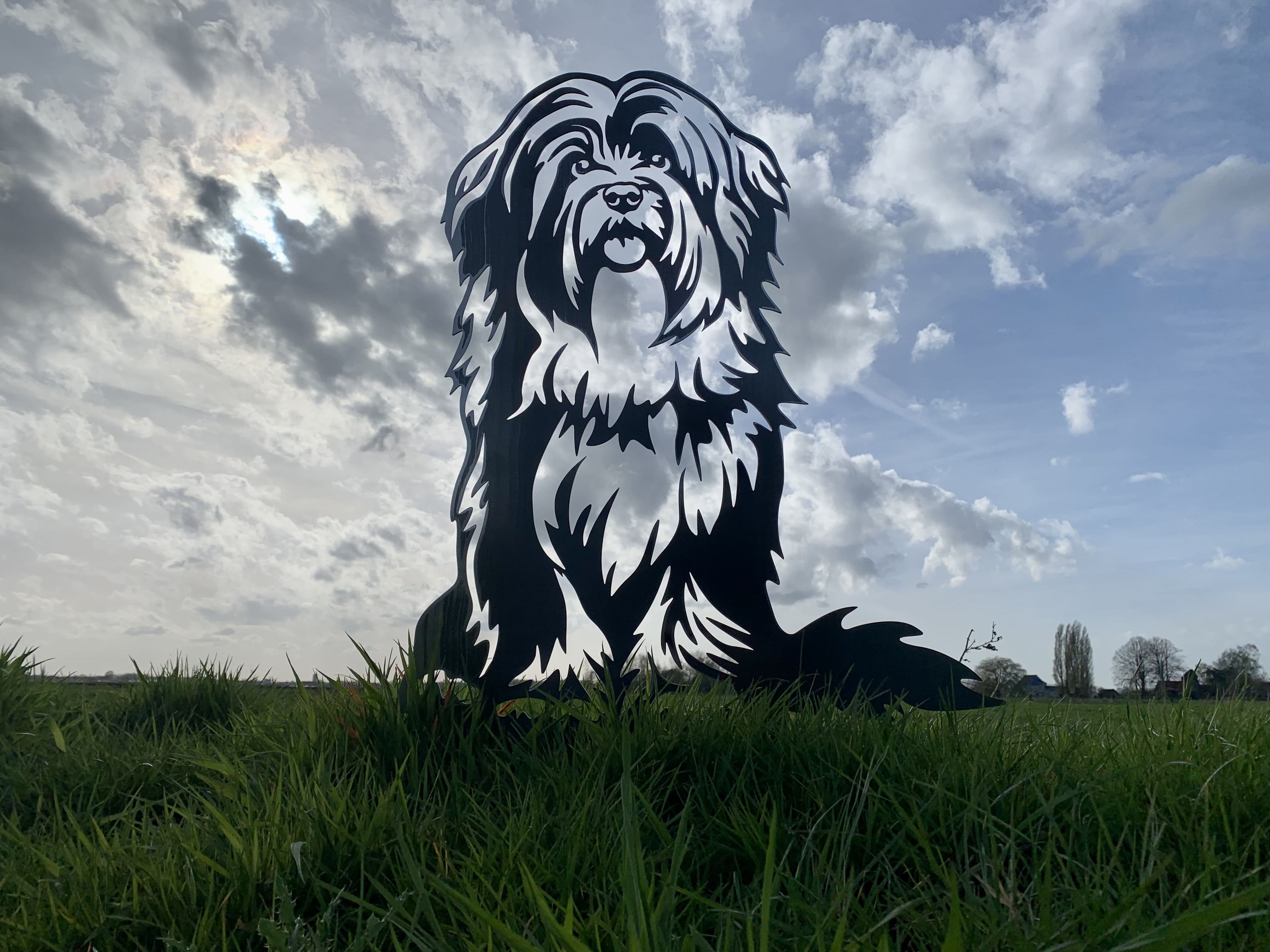 The Tibetan Terrier - Lifelike