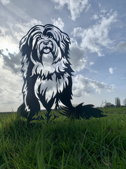 The Tibetan Terrier - Lifelike