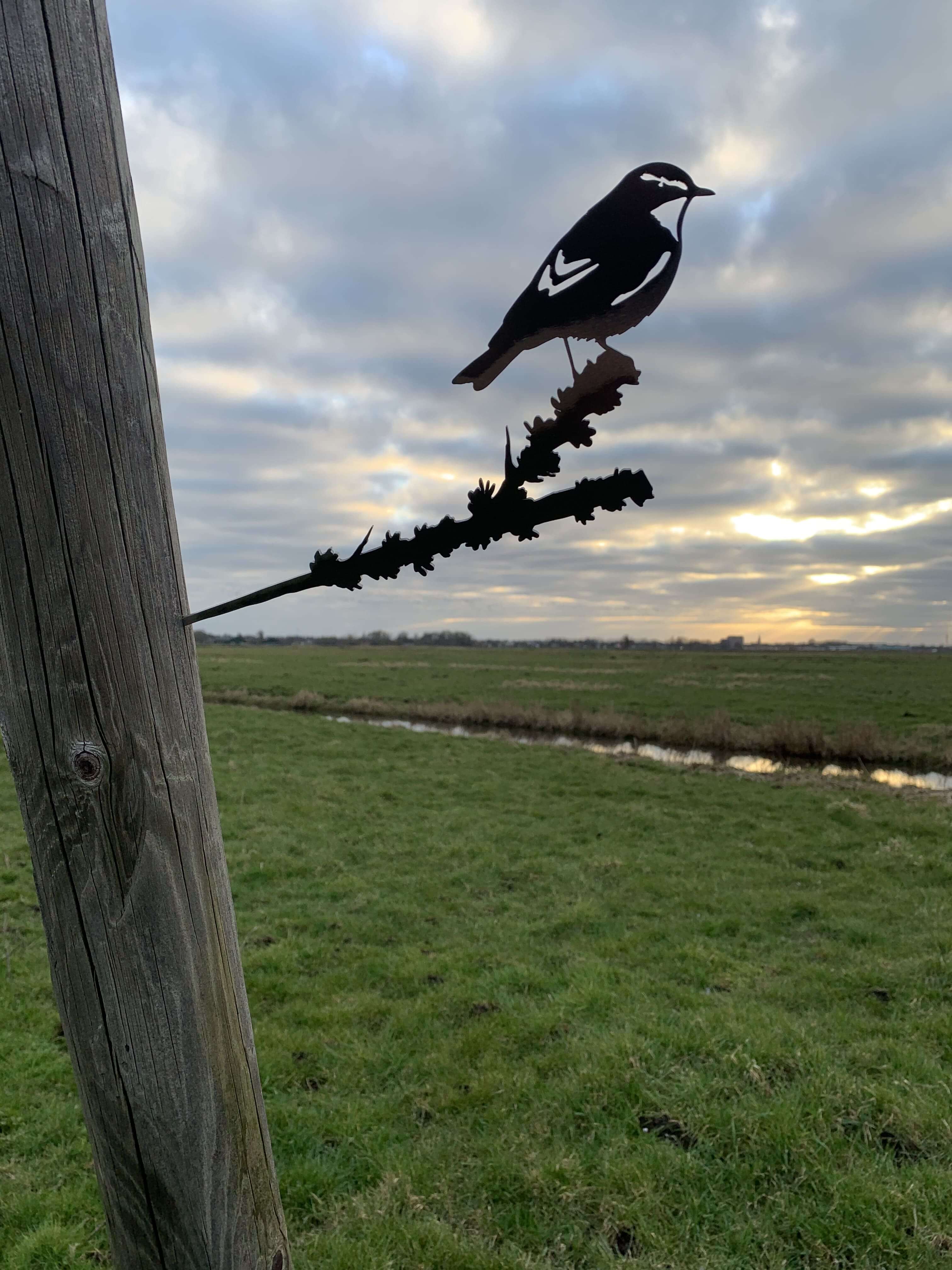 metalbird vogel